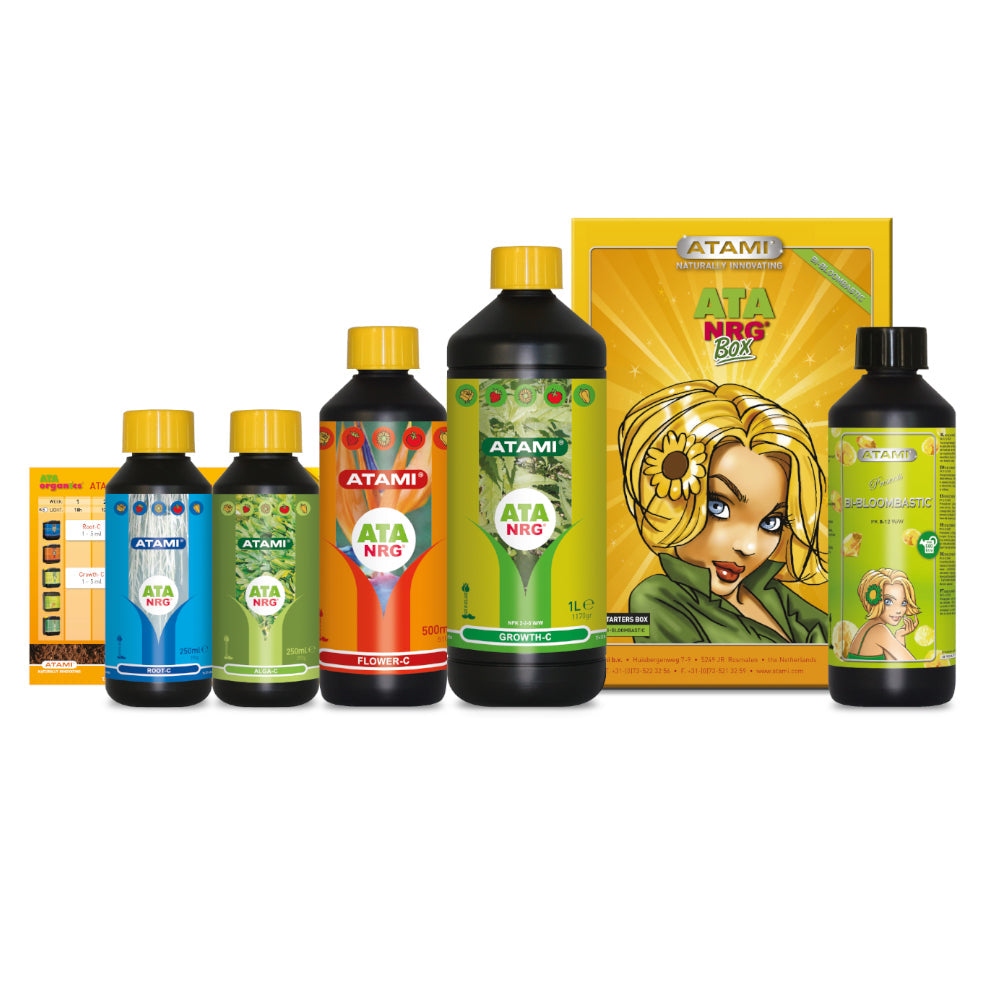 Atami - ATA NRG Bi-Bloombastic Box