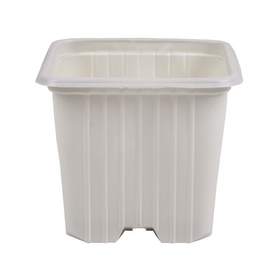 Maceta 7 x 7 x 6 (0.20L) serie f