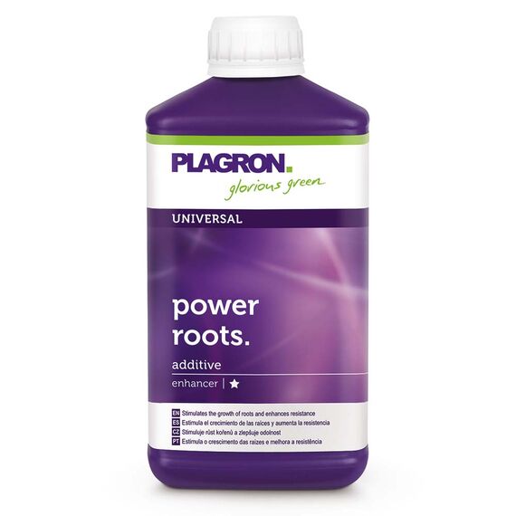 Power Roots