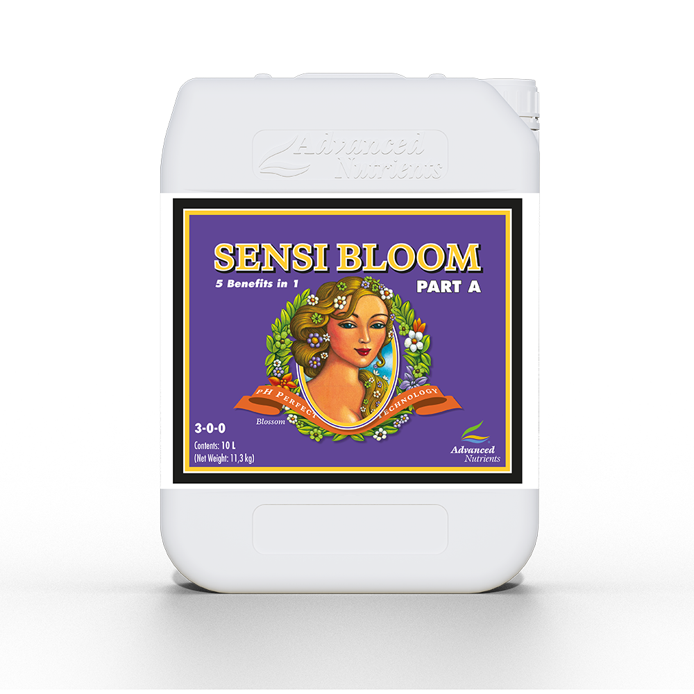 Sensi Bloom A