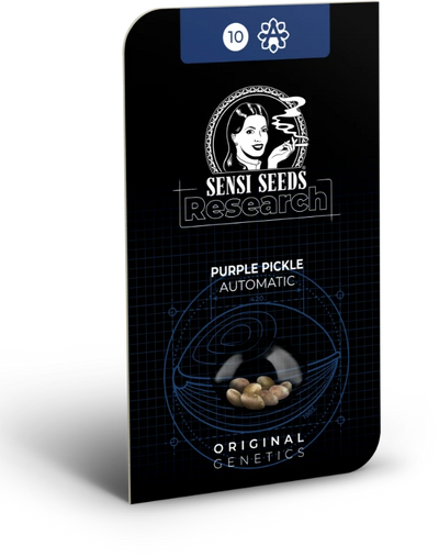 Purple pickle auto sensi seeds