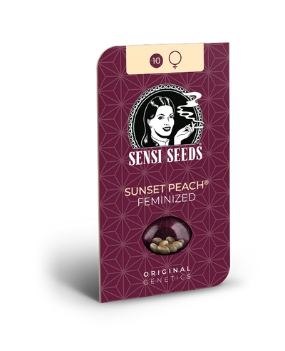 Sunset peach 100% sensi seeds