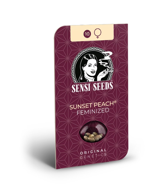 Sunset peach 100% sensi seeds