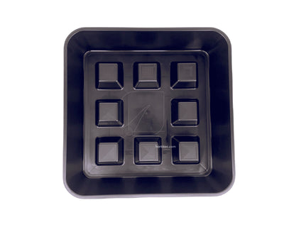 Plato cuadrado elevado 20/22 (50 uds)