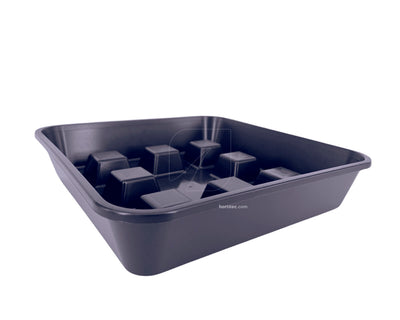 Plato cuadrado elevado 20/22 (50 uds)