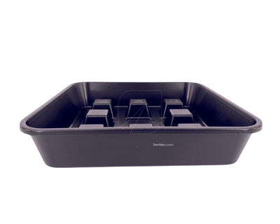 Plato cuadrado elevado 20/22 (50 uds)