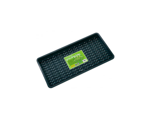 Bandeja microgreen 56x28x3 cm garland