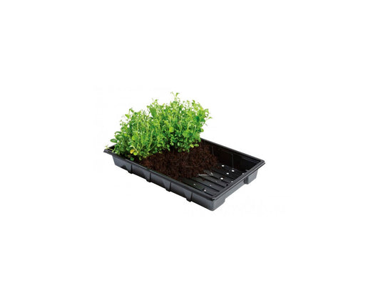 Bandeja profesional 37x23.5x5 cm (5 uds) garland