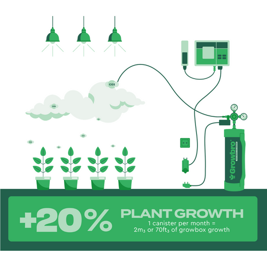 Botella co2 growbro