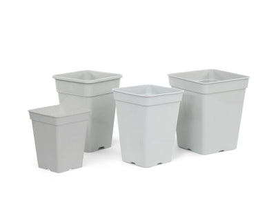 Maceta cuadrada blanca 15 x 15 x 20 cm 3 l (35 uds)