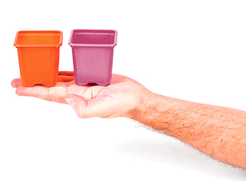 Maceta color naranja  7 x 7 x 6.5 cm (115 uds)