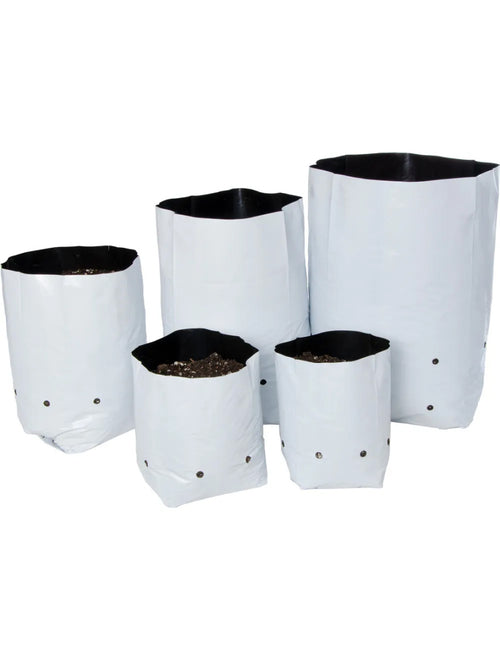 Bolsa de cultivo 31 x 14 3,78l (50 uds) vdl