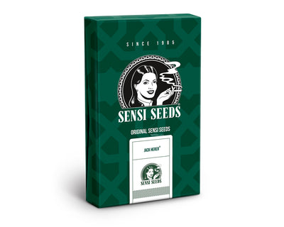 Jack herer regular (10) sensi seeds