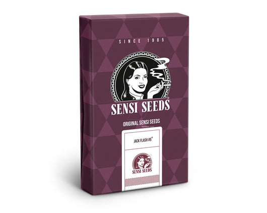 Jack flash 5 100% sensi seeds