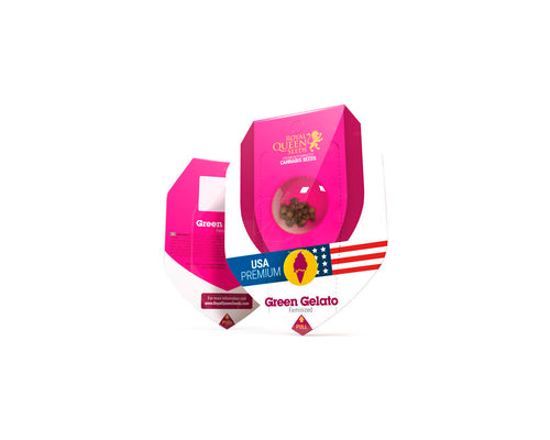 Green gelato 100% royal queen seeds