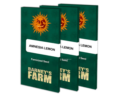 Amnesia lemon 100% barney's farm seeds
