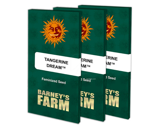 Tangerine dream 100% barney's farm seeds
