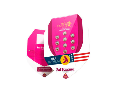 Fat banana 100% royal queen seeds