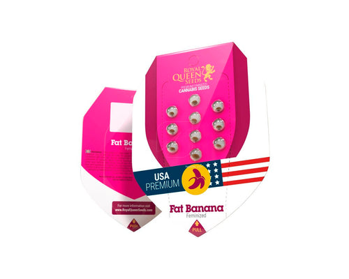 Fat banana 100% royal queen seeds