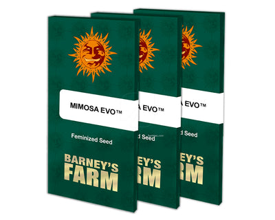 Mimosa evo barney´s farm seeds