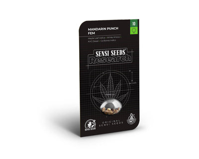 Mandarin punch 100% sensi seeds