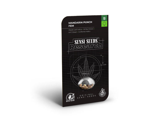 Mandarin punch 100% sensi seeds