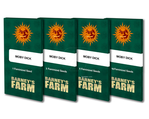 Moby dick 100% barneys farm seeds