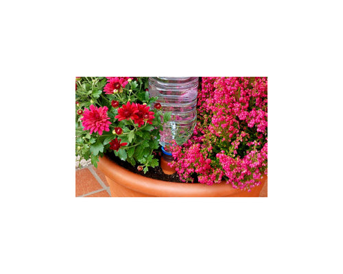 Blumat easy blister (3 uds)