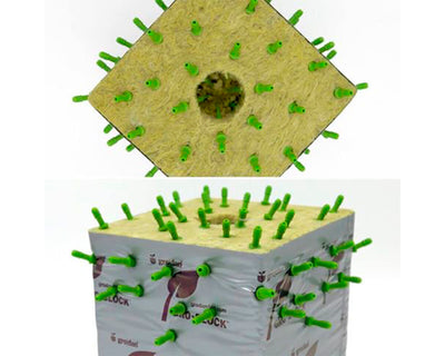 Dart dripper (100 uds) floraflex