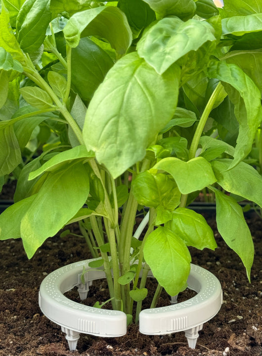 Gotero hortipro 1,2 l/h