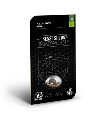 420 punch 100% sensi seeds