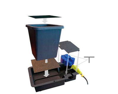 Modulo 1 pot