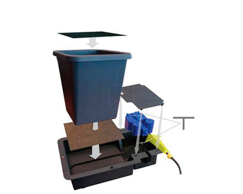 Modulo 1 pot
