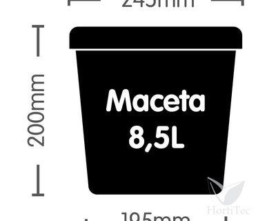 Maceta autopot 8.5 l