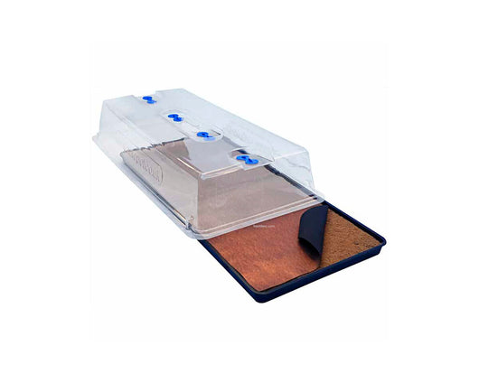 Easy2propagate kit basico autopot
