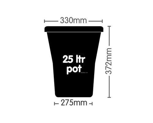 Modulo auto9 xl 25 l autopot