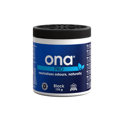 Ona block 170 g