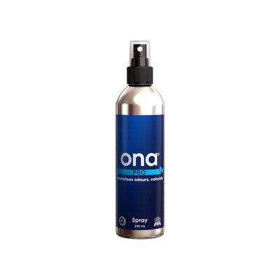 Ona spray apple crumble 250 ml