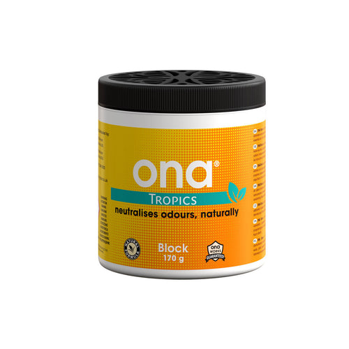 Ona block 170 g
