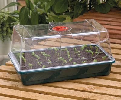 Propagador pequeño 37.5 x 23 x 18 cm garland