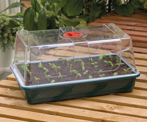 Propagador pequeño 37.5 x 23 x 18 cm garland