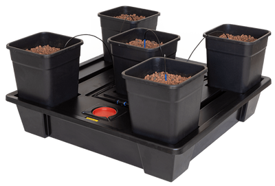 Sistema wilma 8 mini completo