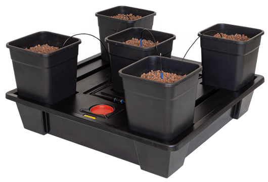 Sistema wilma 8 mini completo