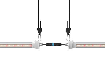 Inter canopy led (2 uds.) solux