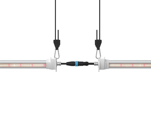 Inter canopy led (2 uds.) solux