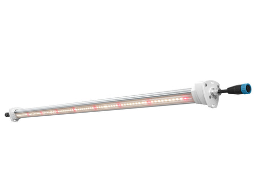 Inter canopy led (2 uds.) solux
