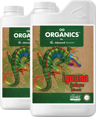 Og organic iguana juice bloom advanced nutrients