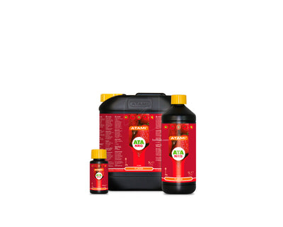 Flavor ata nrg