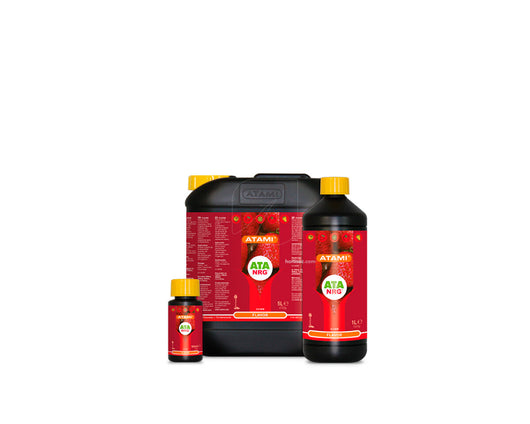 Flavor ata nrg