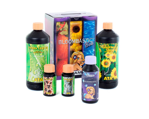 Ata/terra bloombastic box atami